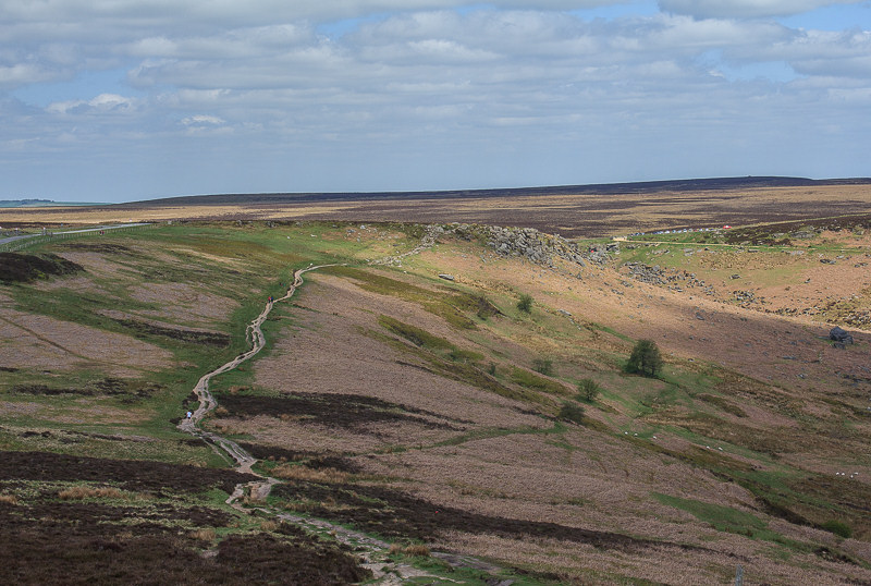Fiddler's Elbow